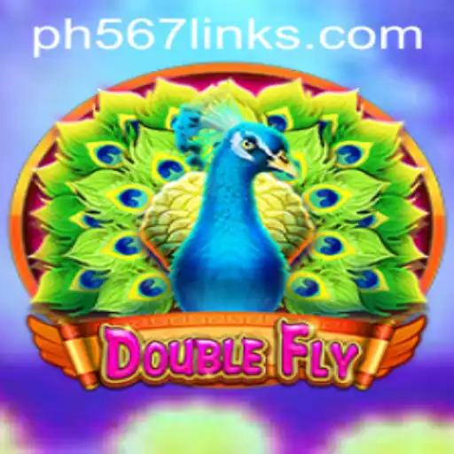 Exploring DoubleFly: The Game That's Taking Flight with PH567